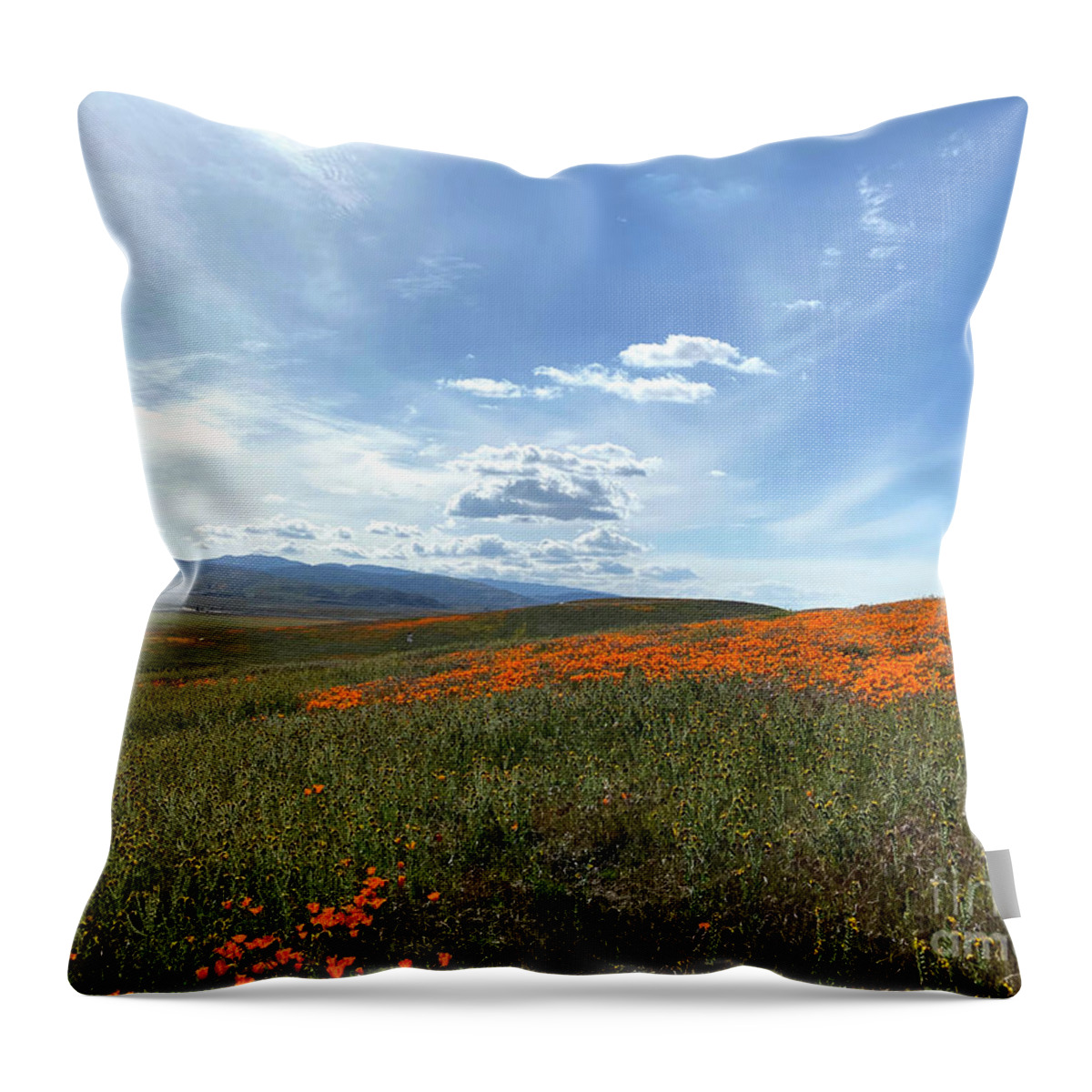 Field Throw Pillow featuring the photograph Glorious Fields of Poppies by Katherine Erickson