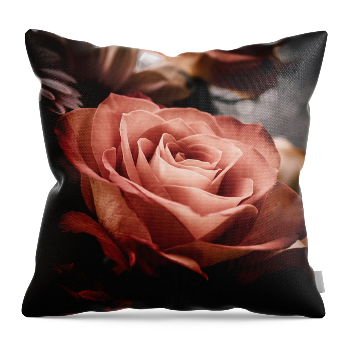 Rose Throw Pillow featuring the photograph Glowing Orange Tea Rose by W Craig Photography