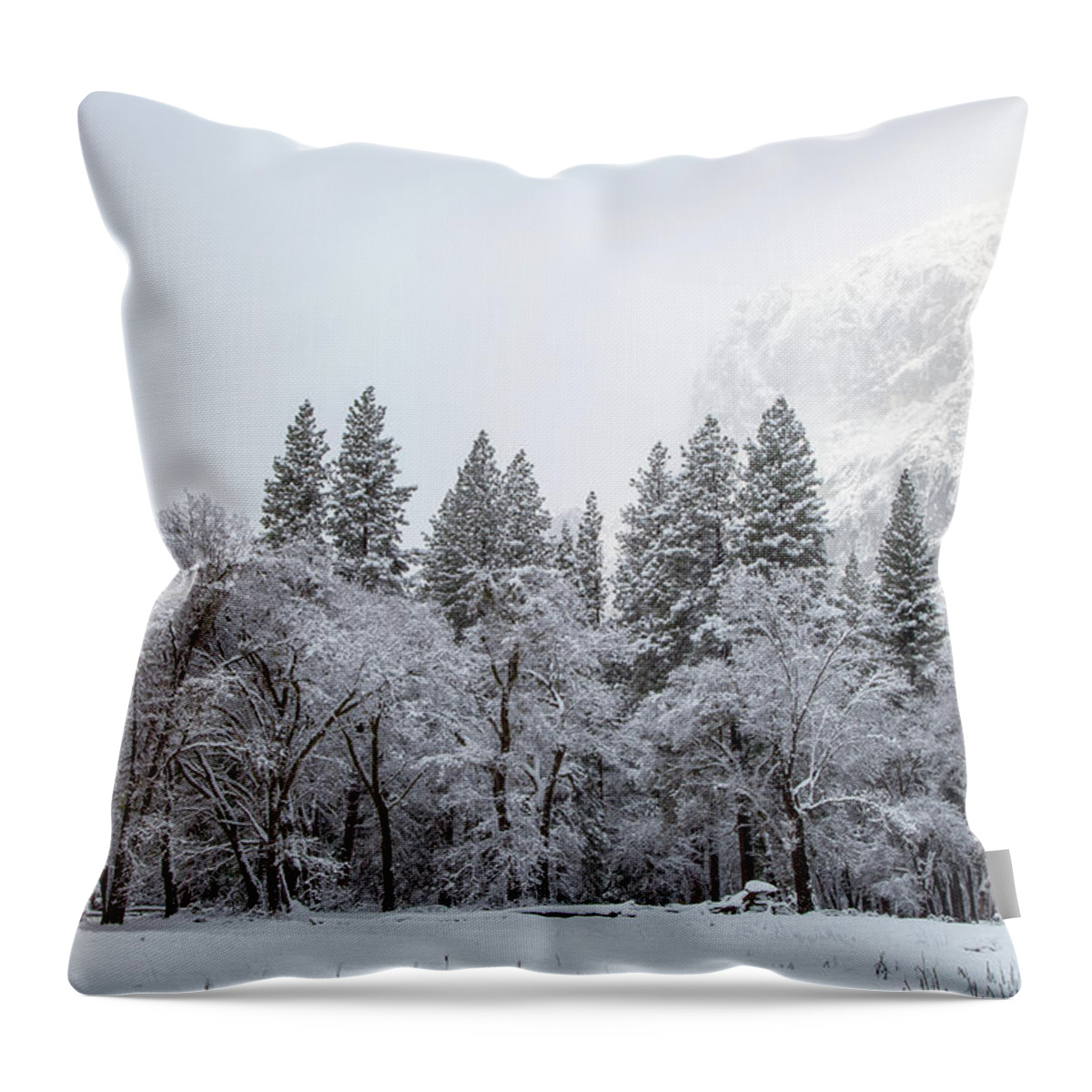 Landscape Throw Pillow featuring the photograph Glows by Jonathan Nguyen