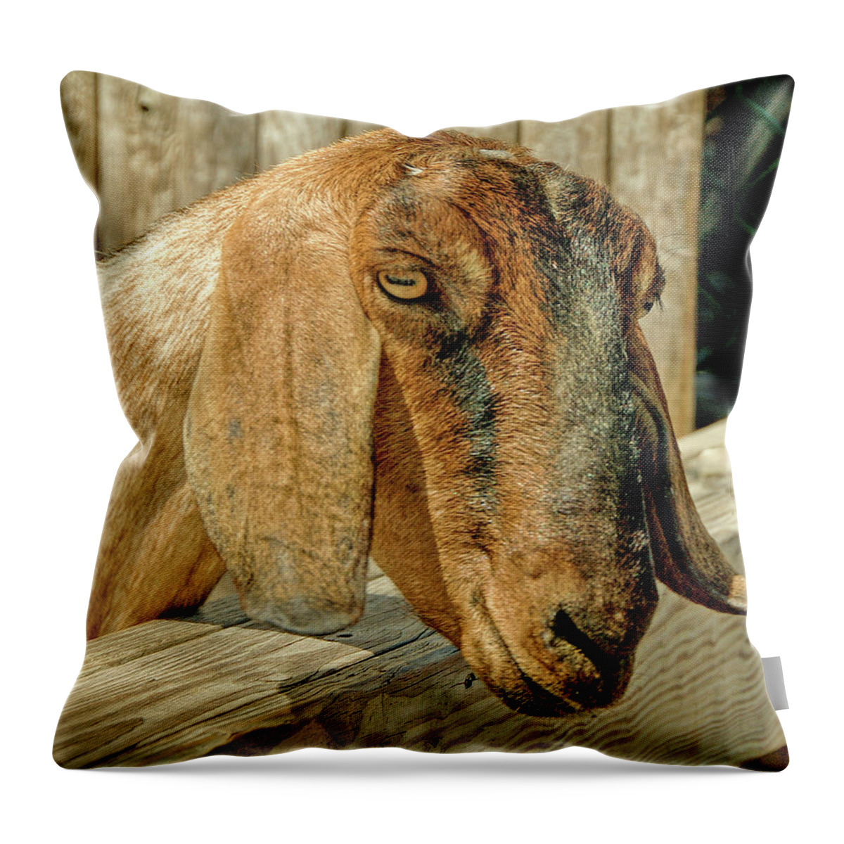 Goat Throw Pillow featuring the photograph Goat by Cathy Kovarik
