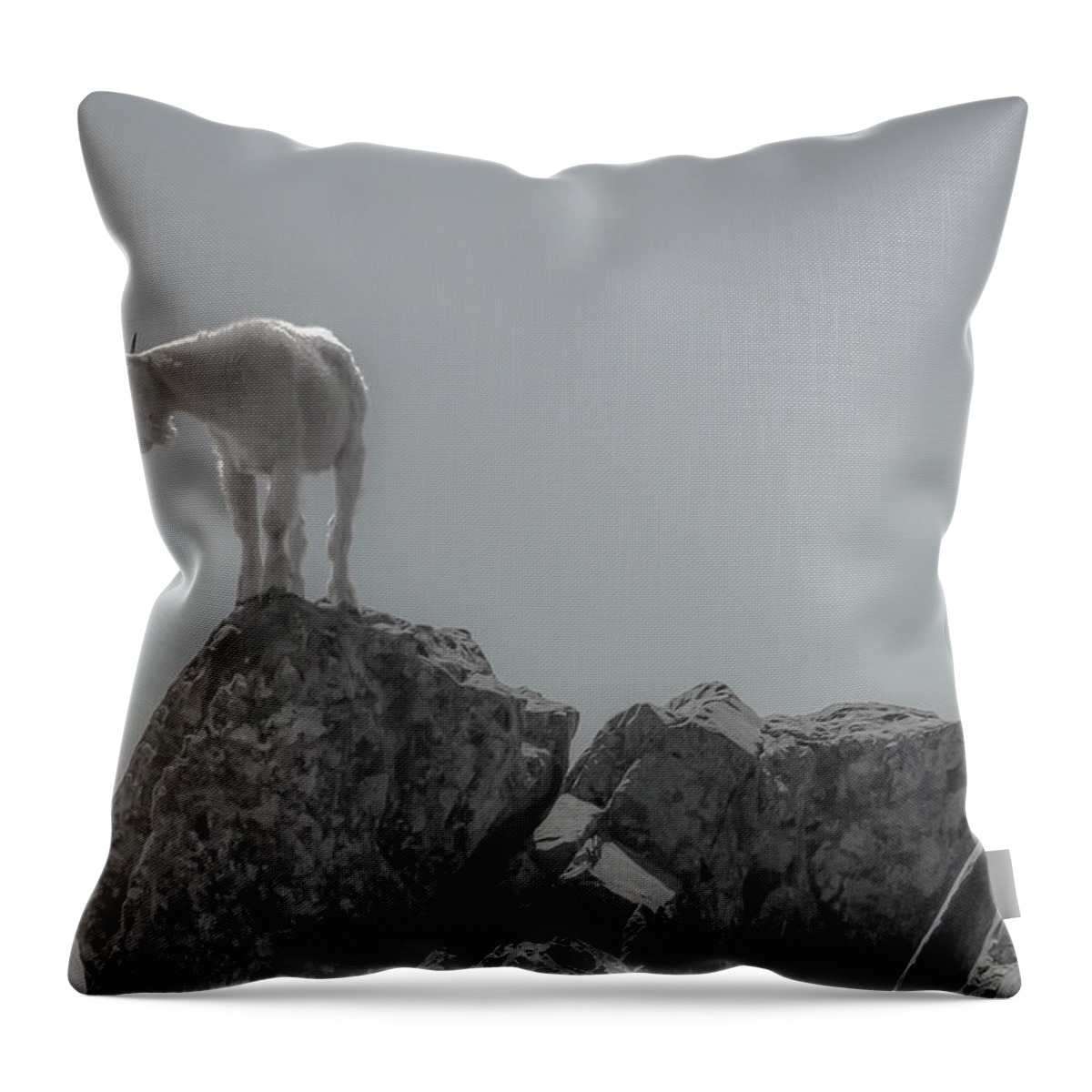 High Quality Throw Pillow featuring the photograph Goat on Lookout by Doug Scrima