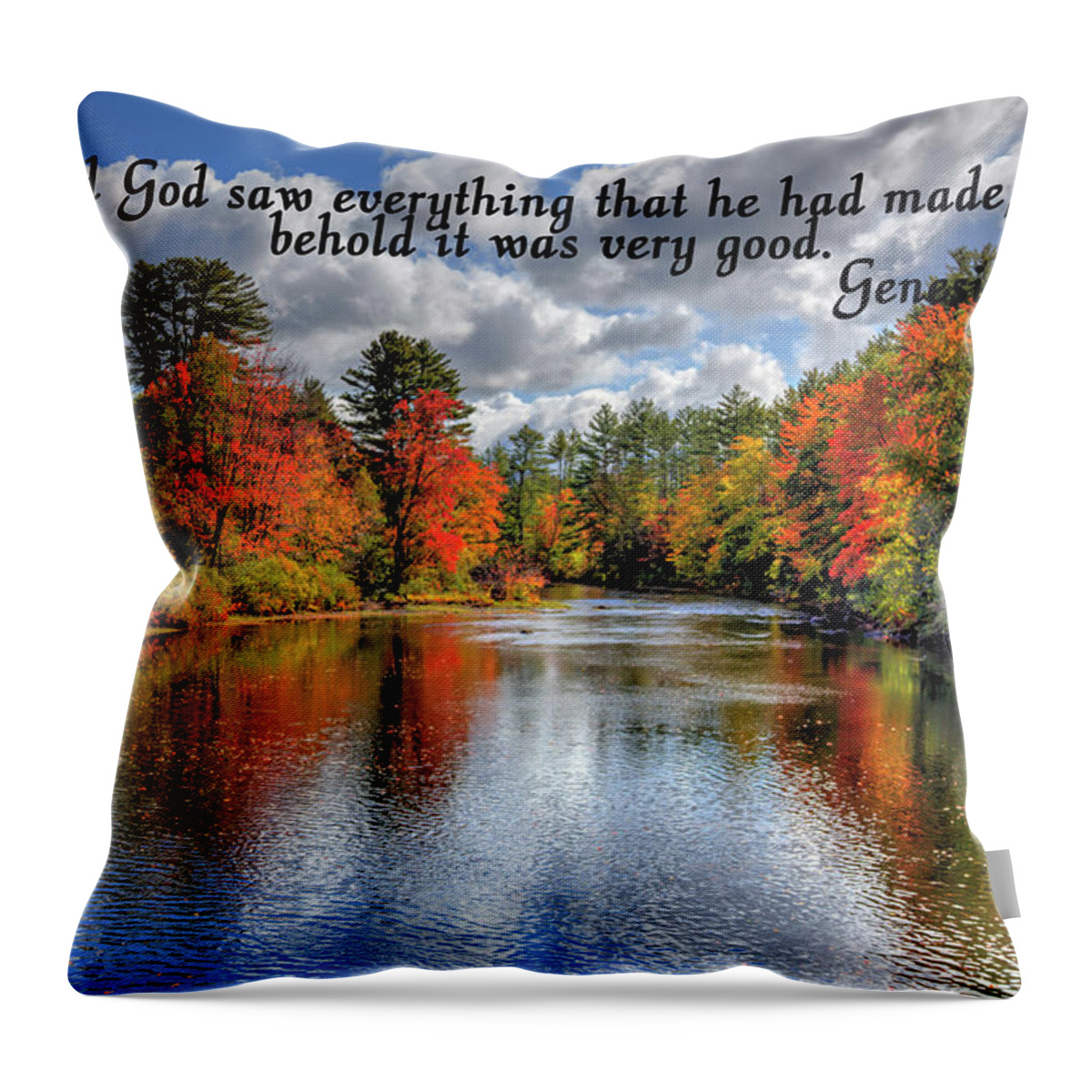 Fine Art Throw Pillow featuring the photograph God Saw Everything by Robert Harris
