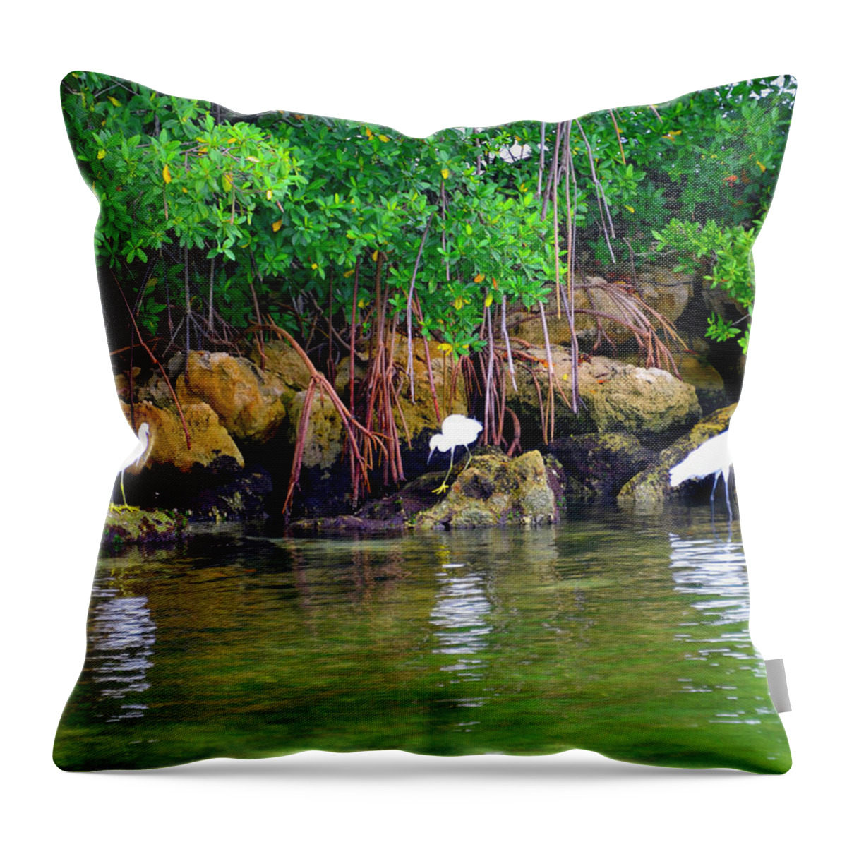 Green Throw Pillow featuring the photograph Going Green by Alison Belsan Horton