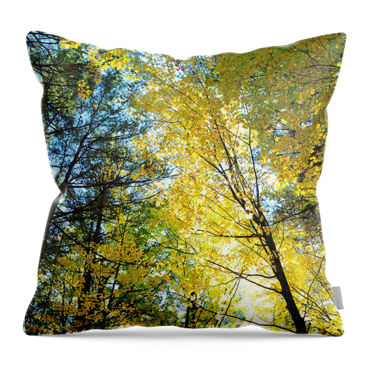 Fall Throw Pillow featuring the photograph Glitter Dome by Terri Gostola