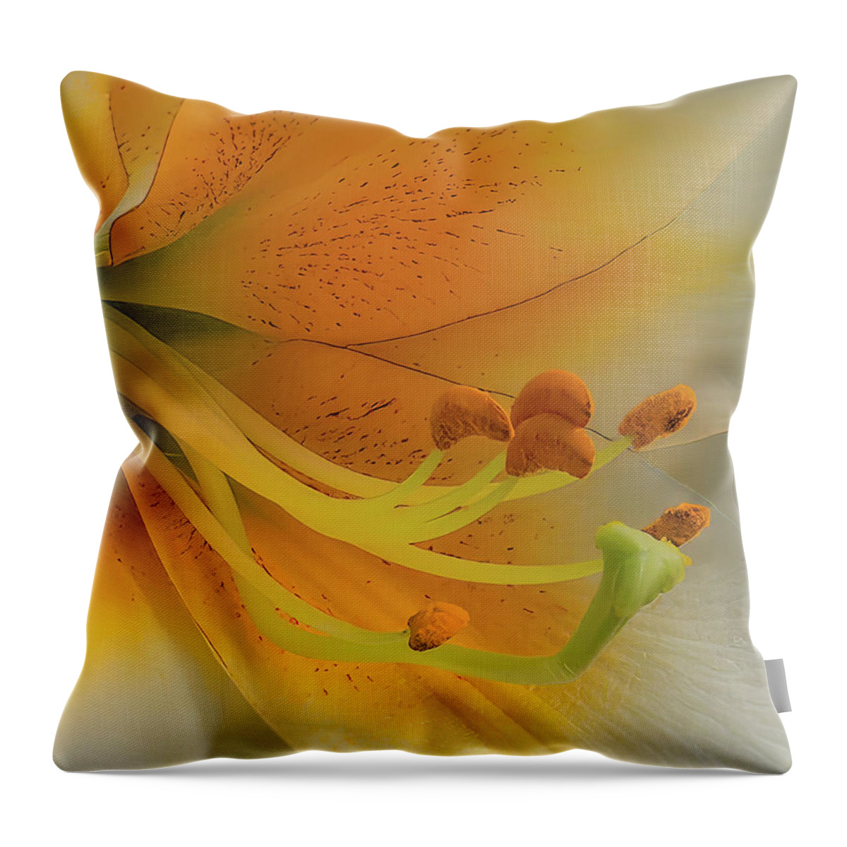 Daylily Throw Pillow featuring the photograph Gold Daylily Close-up by Patti Deters
