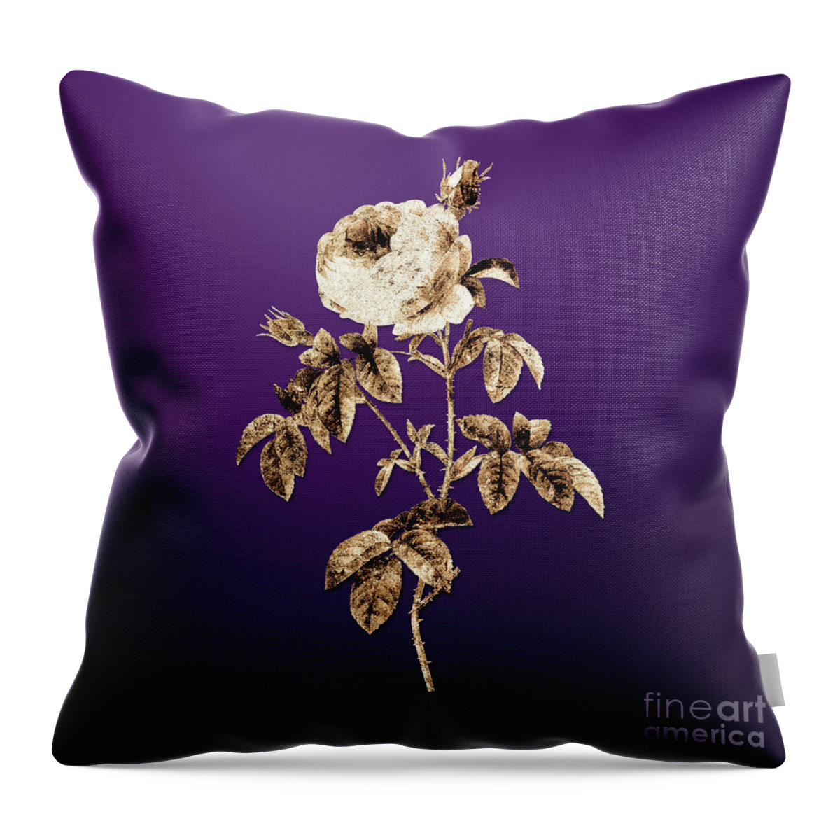 Gold Throw Pillow featuring the painting Gold Provence Rose Bloom on Royal Purple n.02462 by Holy Rock Design