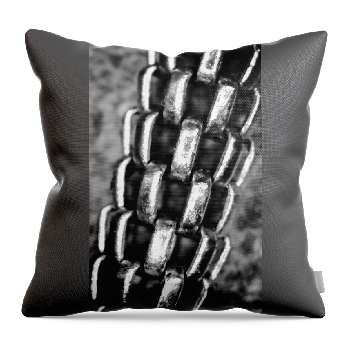 Chain Throw Pillow featuring the photograph Gold Rope Chain in Silver by Eileen Backman
