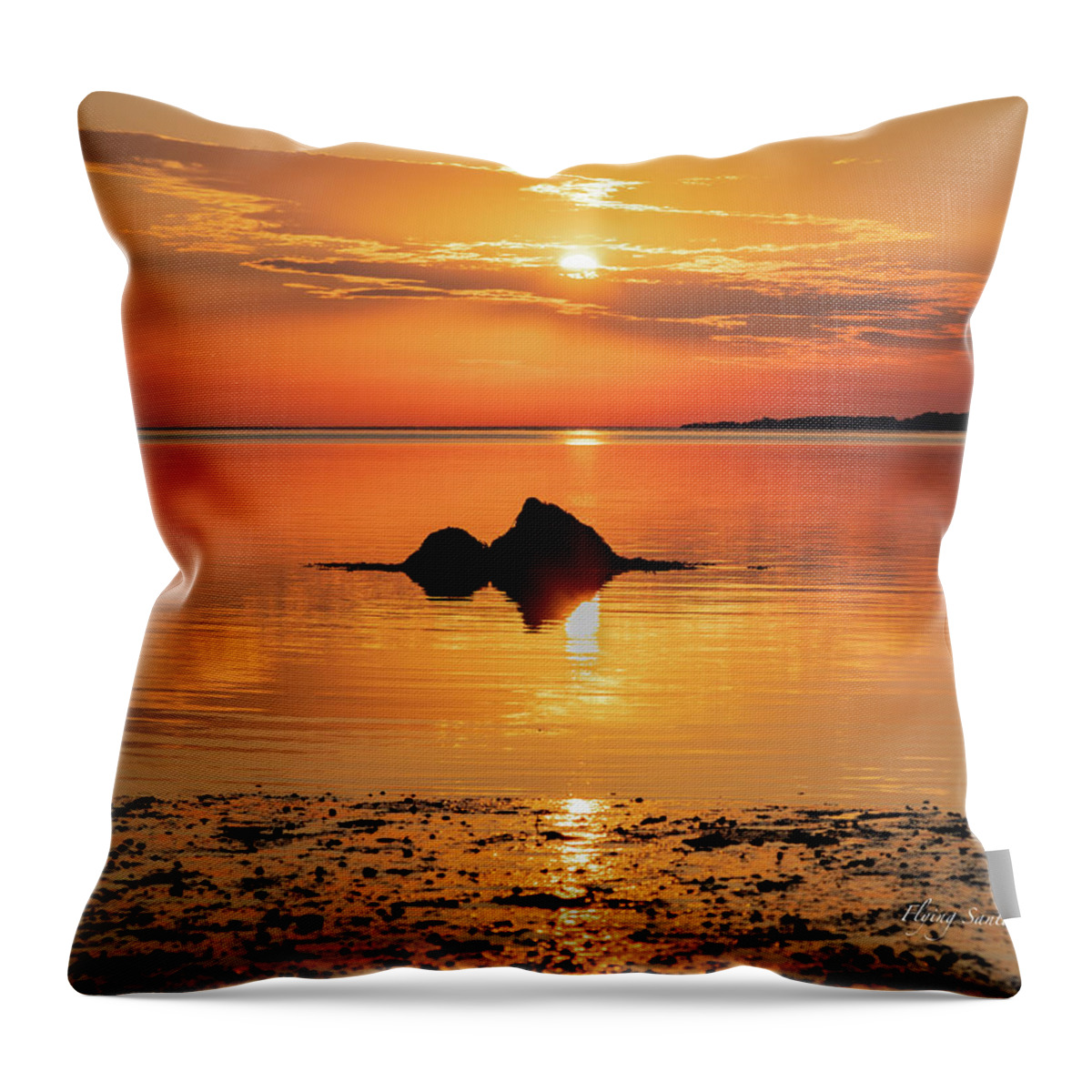Golden Hour Throw Pillow featuring the photograph Gold Sand Morning by William Bretton