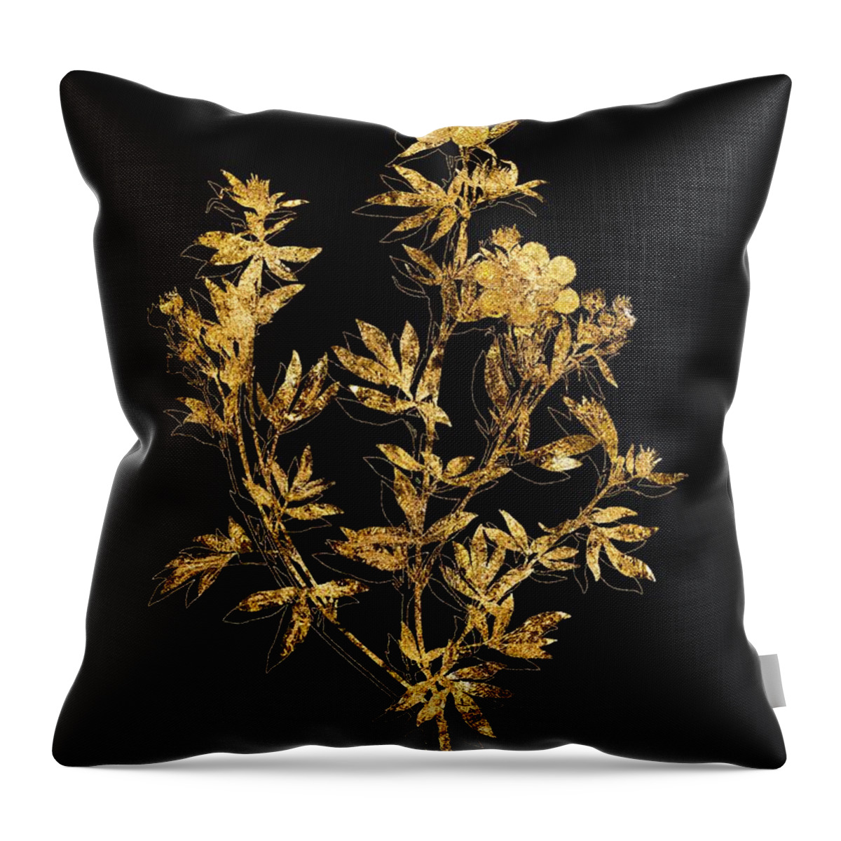 Vintage Throw Pillow featuring the mixed media Gold Yellow Buttercup Flowers Botanical Illustration on Black by Holy Rock Design