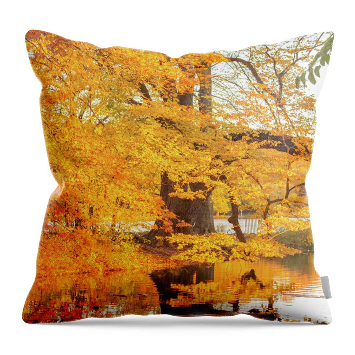 Nature Throw Pillow featuring the photograph Golden Autumn in New York by Auden Johnson