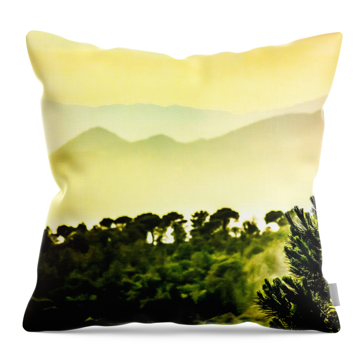Art Throw Pillow featuring the digital art Golden Dream by Auranatura Art