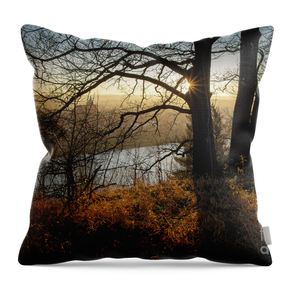 Sunset Throw Pillow featuring the photograph Golden evening light 1 by Adriana Mueller