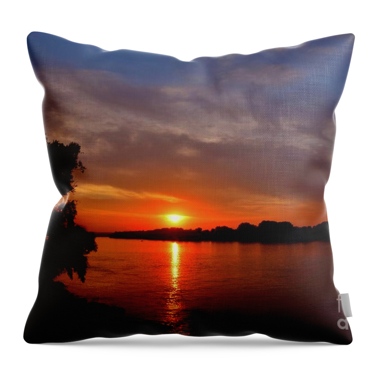Harmony Throw Pillow featuring the photograph Golden Eye of Sunlight II by Leonida Arte