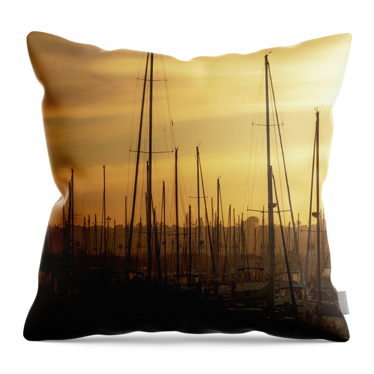 Boat Throw Pillow featuring the photograph Golden Harbor 3 by Ryan Weddle