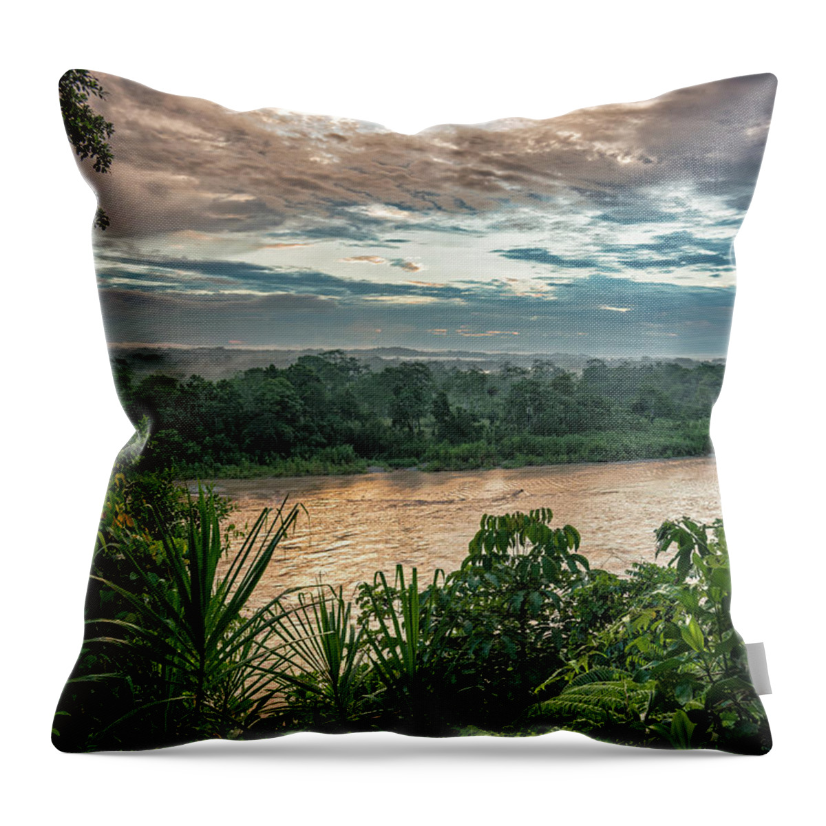 Ahuano Throw Pillow featuring the photograph Golden hour on the Napo river by Henri Leduc