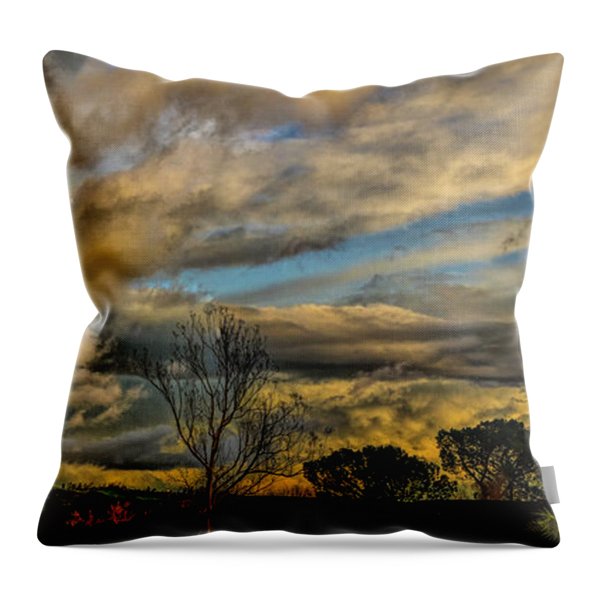 Linda Brody Throw Pillow featuring the digital art Golden Hour Panorama 1 Enhanced by Linda Brody