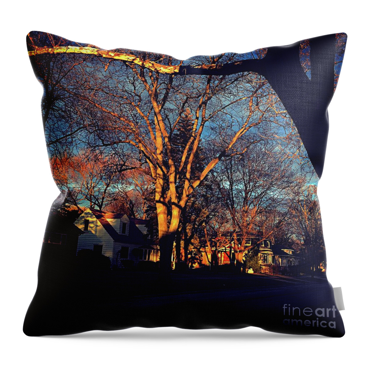 Nature Throw Pillow featuring the photograph Golden Hour Radiance by Frank J Casella