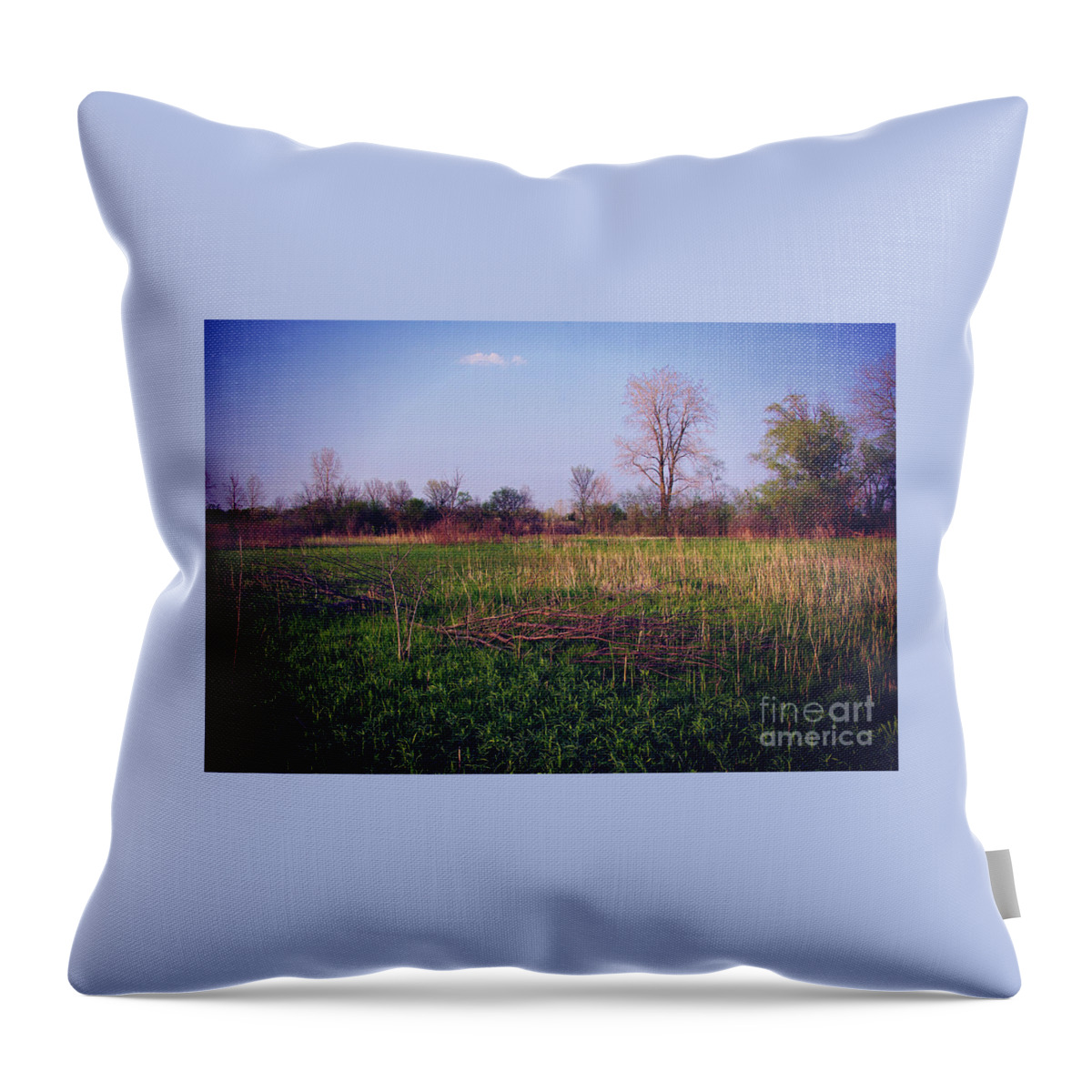 Nature Throw Pillow featuring the photograph Golden Hour Sunset on the Prairie - Heat by Frank J Casella