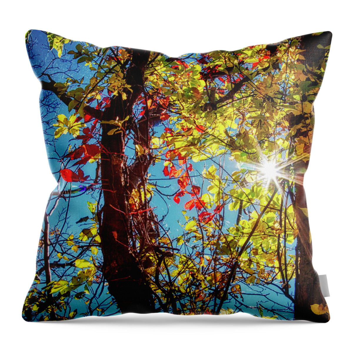Star Throw Pillow featuring the photograph Golden leaves and sunburst by Tatiana Travelways