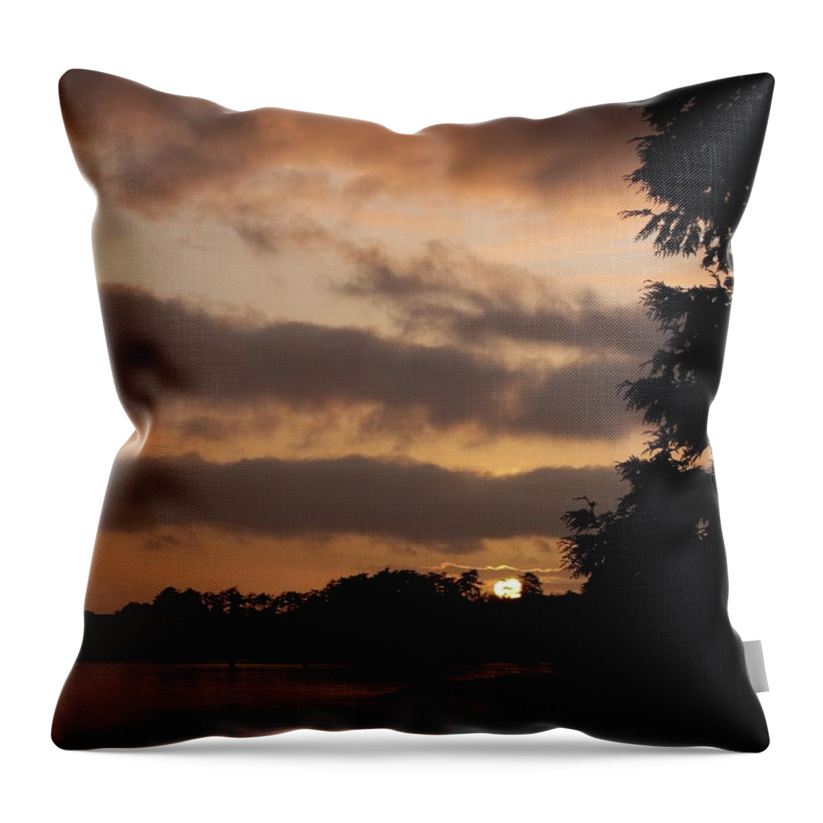 Victoria Throw Pillow featuring the photograph Golden Moment by Kimberly Furey