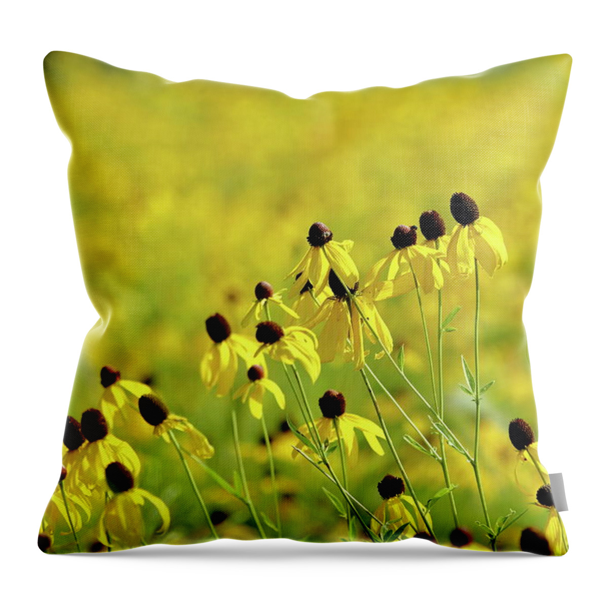 Nature Throw Pillow featuring the photograph Golden Prairie by Lens Art Photography By Larry Trager