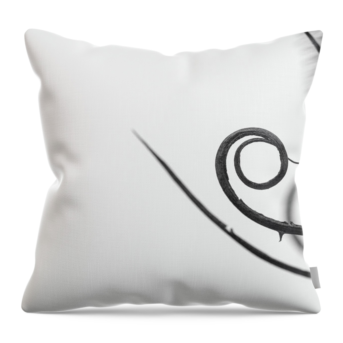 Abstract Throw Pillow featuring the photograph Golden Spiral Flower by Martin Vorel Minimalist Photography