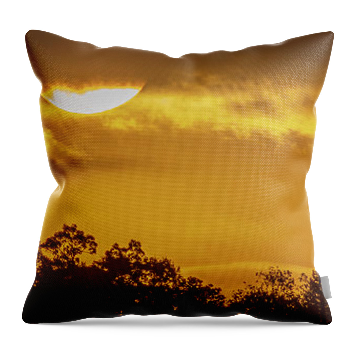 Sunrise Throw Pillow featuring the photograph Golden Sunrise Panorama by Mary Ann Artz