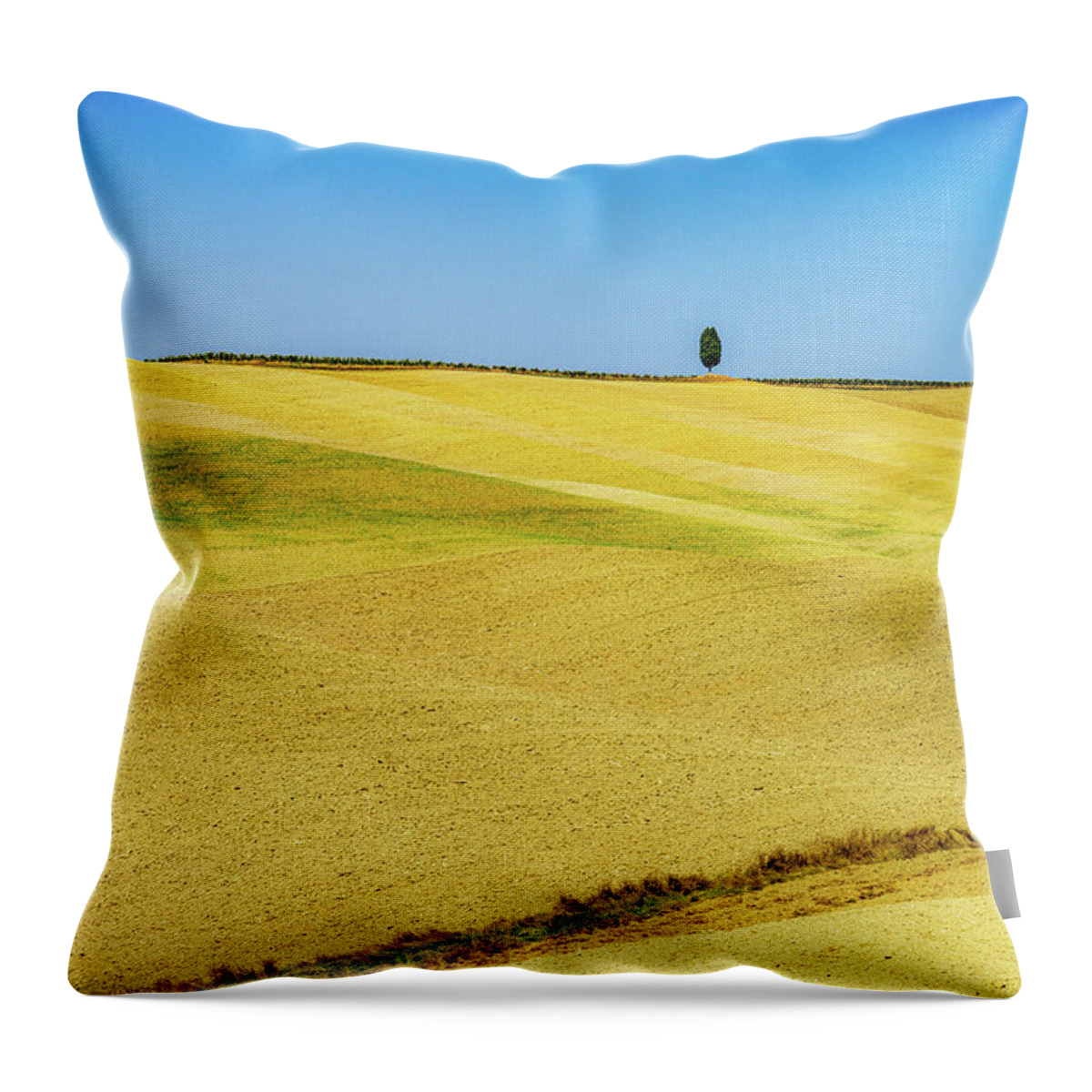 Tuscany Throw Pillow featuring the photograph Golden Tuscany by Marian Tagliarino
