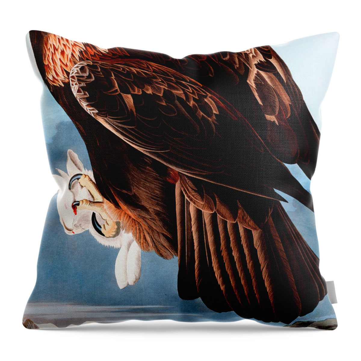 Goldon Eagle Throw Pillow featuring the drawing Goldon Eagle by John James Audubon by Mango Art