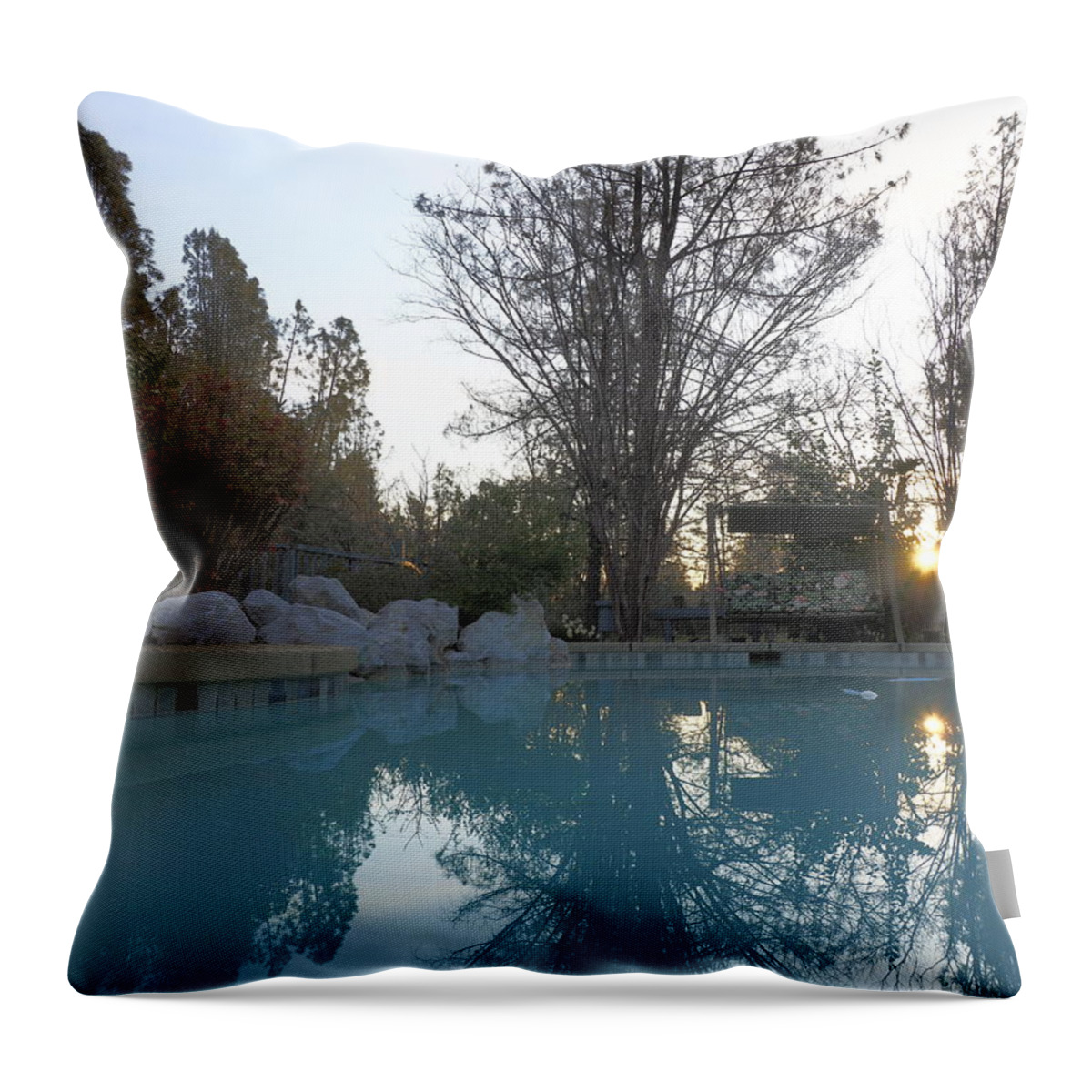 Landscape Throw Pillow featuring the photograph Good Morning Sunshine by Richard Thomas