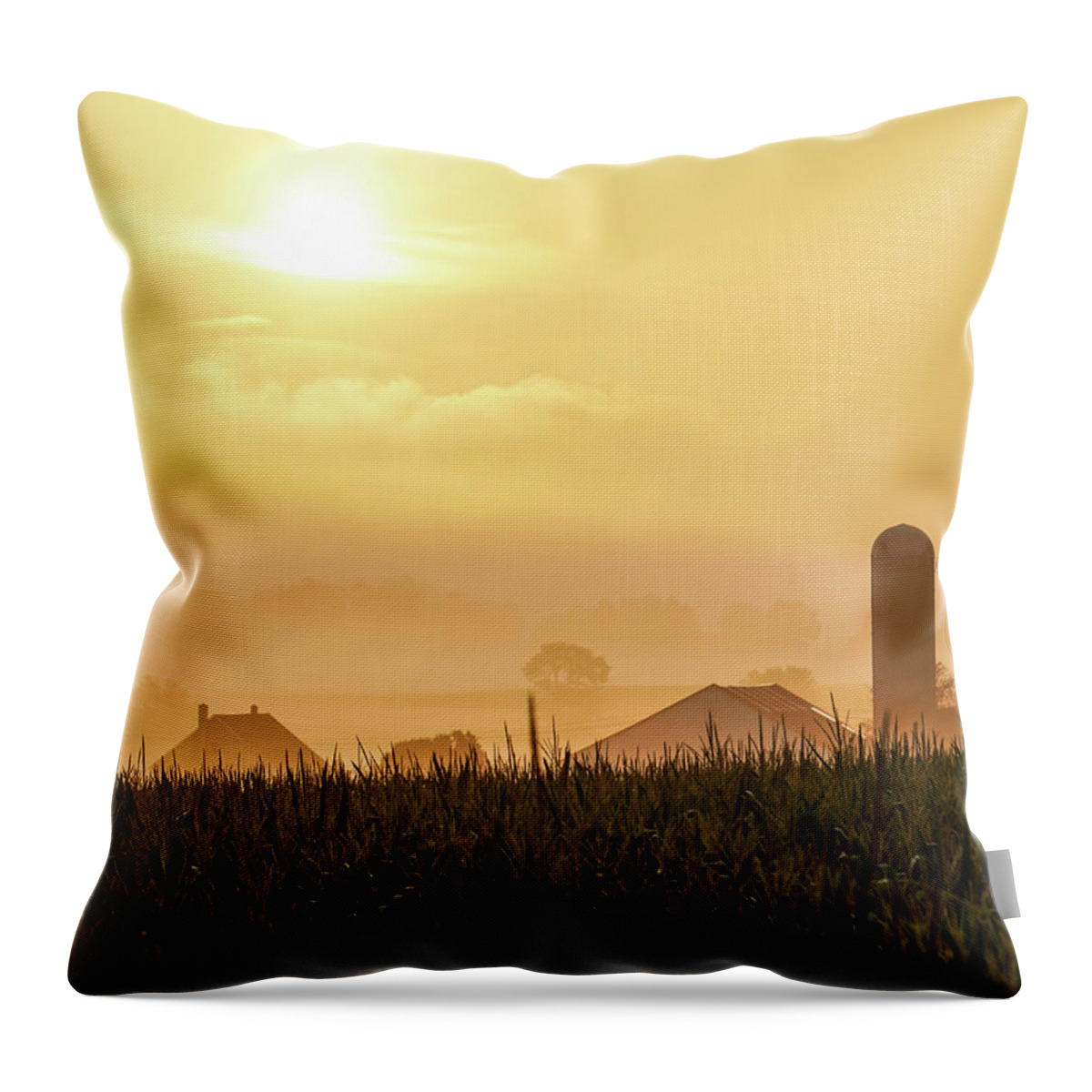 Sunrise Throw Pillow featuring the photograph Good Morning Vertical by Tana Reiff