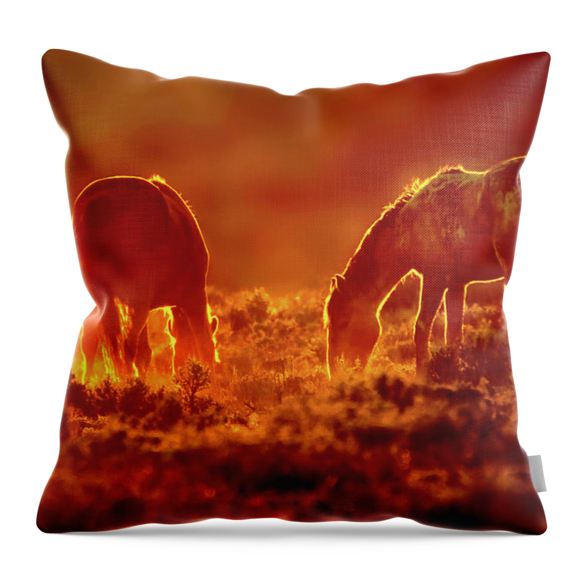 Horses Throw Pillow featuring the photograph Good Night, Beautiful Mustangs by Judi Dressler