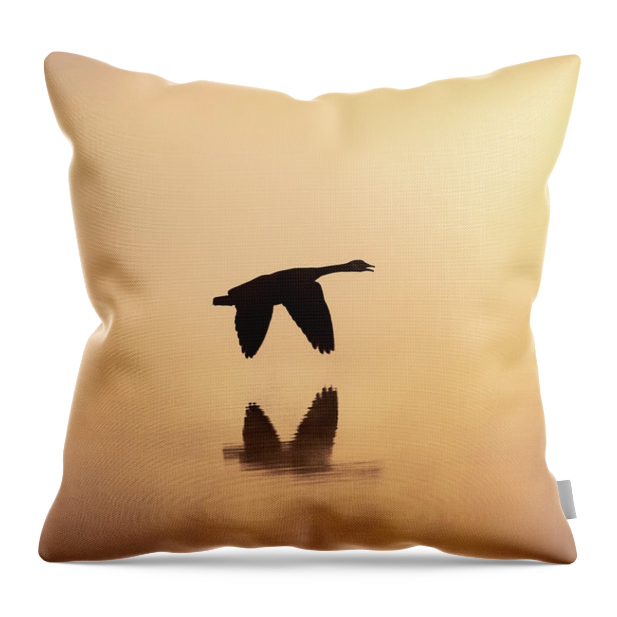 Canadian Goose Throw Pillow featuring the photograph Goose In Flight Among The Mist by Jordan Hill