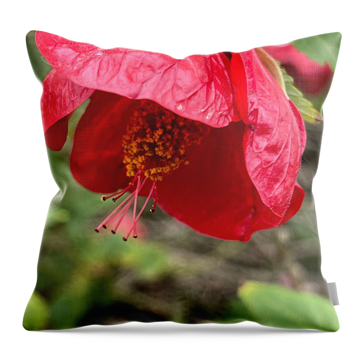 Red Flower Pistils Green Leaves Black Throw Pillow featuring the digital art Gorgeous Red Flower by Kathleen Boyles