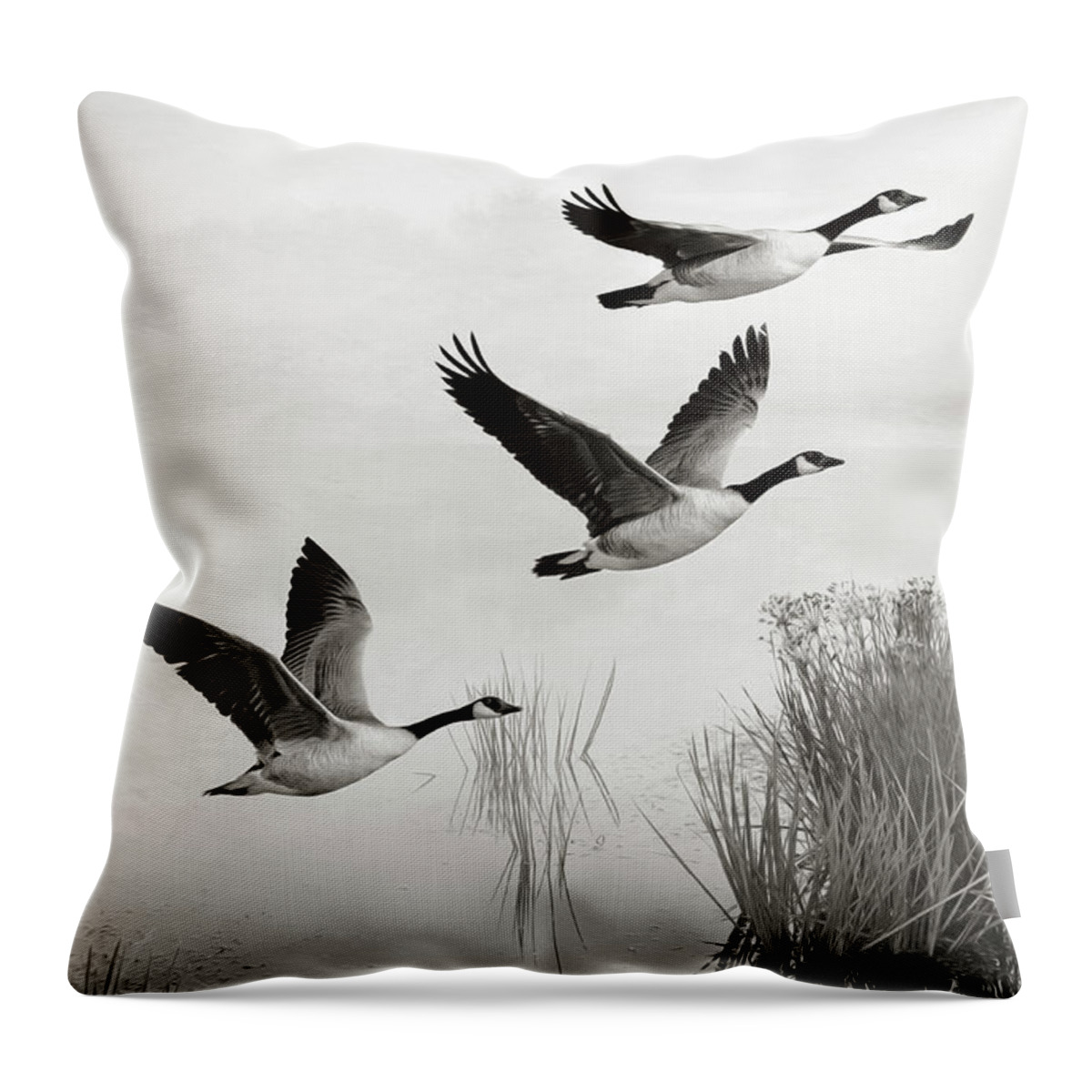Canada Geese Throw Pillow featuring the photograph Graceful Canada Geese BW by Laura D Young