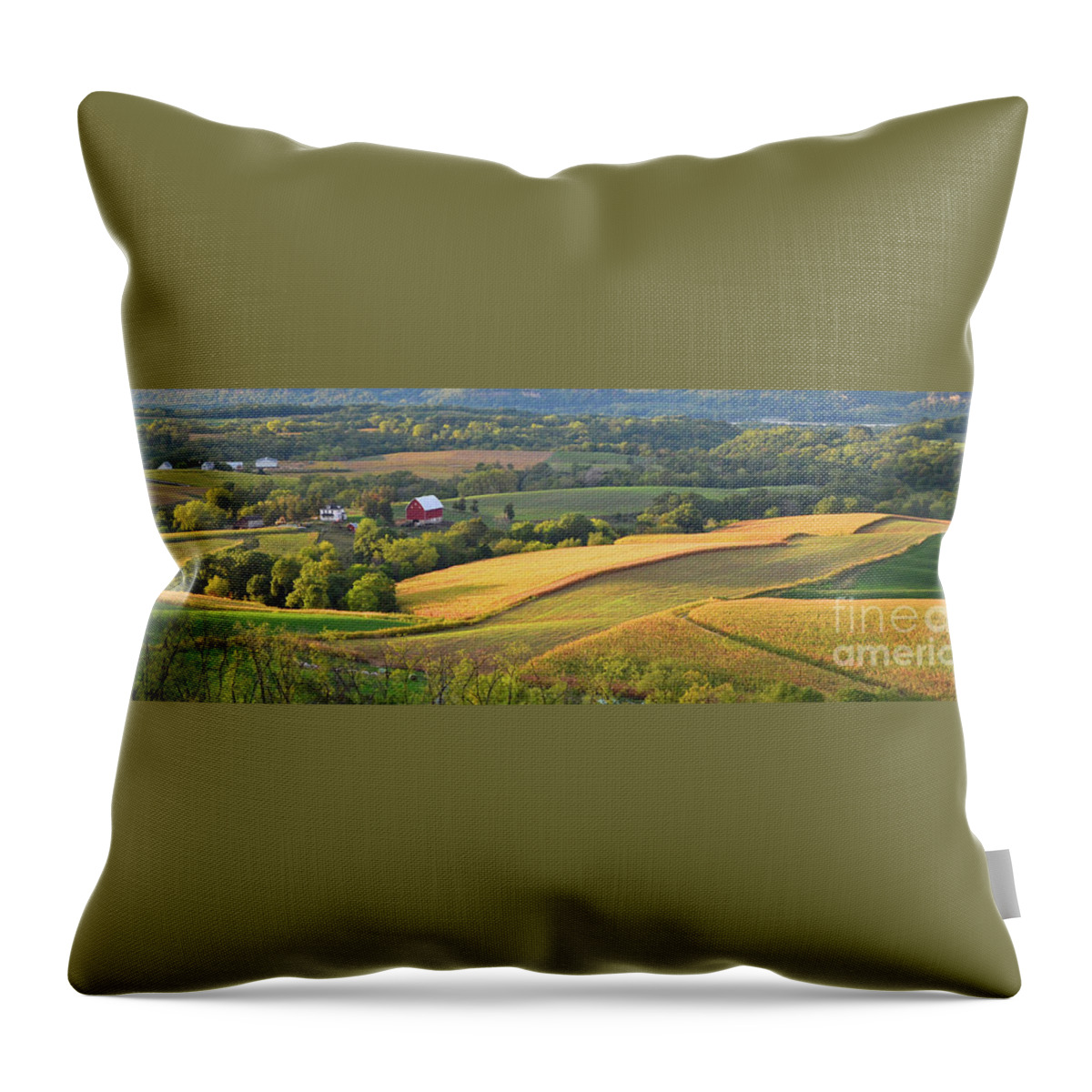 Iowa Throw Pillow featuring the photograph Grant Wood Country - Wide Version by Ron Long