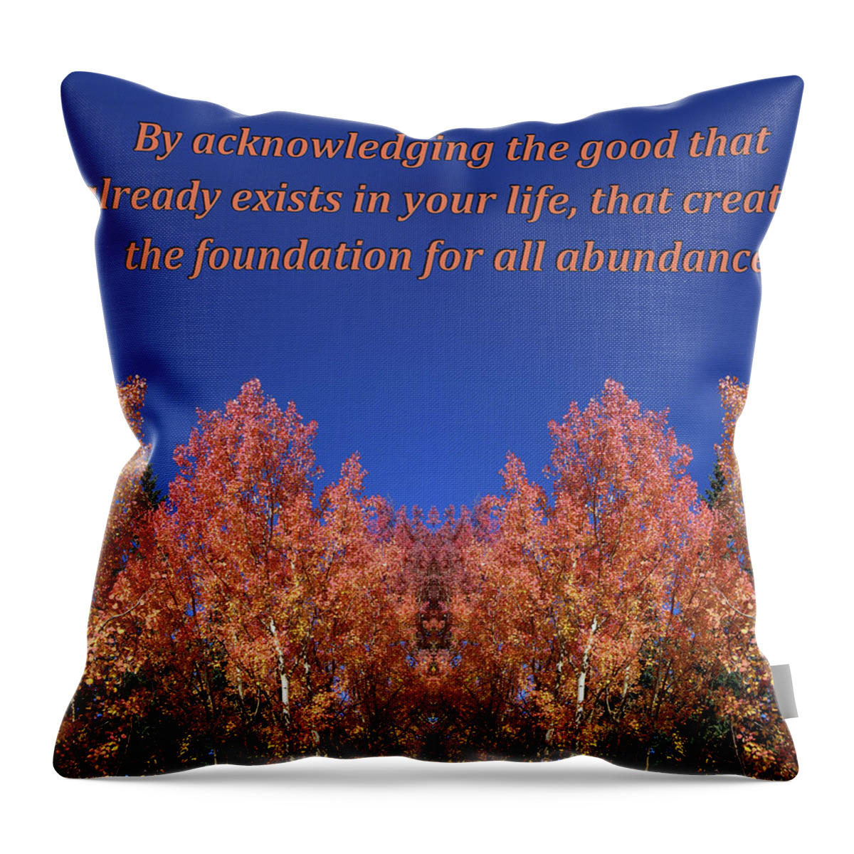 Gratitude Throw Pillow featuring the digital art Gratitude is the Foundation for Abundance by Julia L Wright