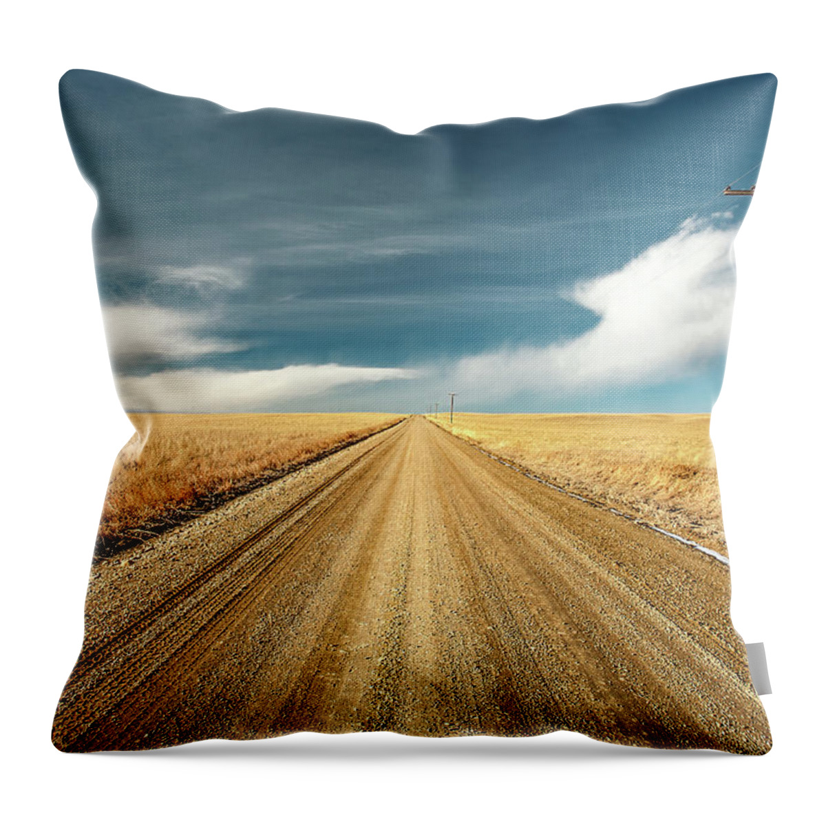 Landscape Throw Pillow featuring the photograph Gravel Lines by Todd Klassy