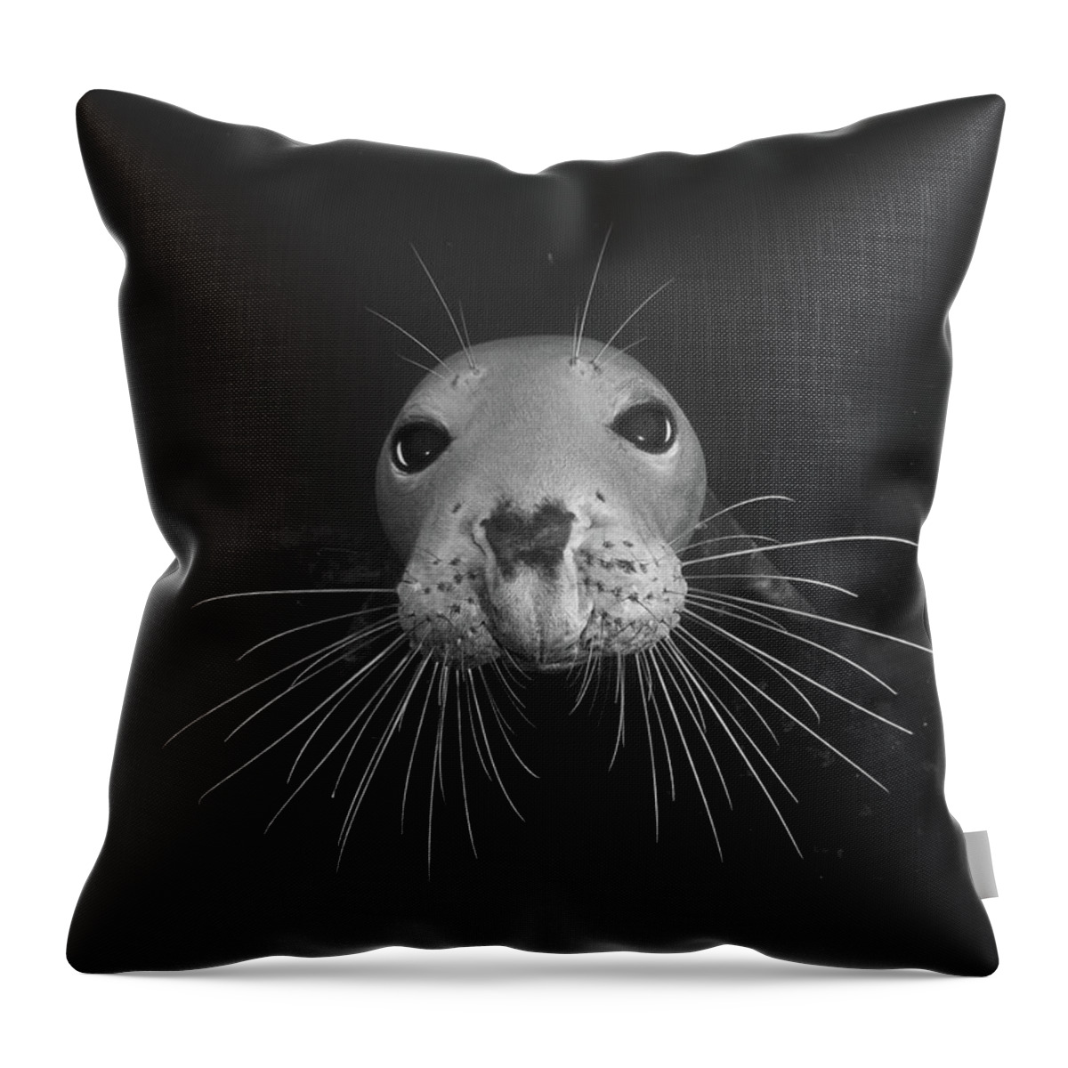 Seal Throw Pillow featuring the photograph Gray seal by Brian Weber