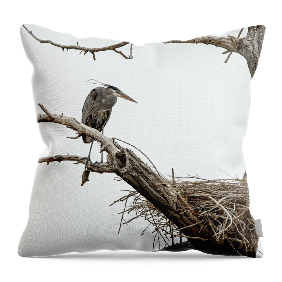 Stillwater Wildlife Refuge Throw Pillow featuring the photograph Great Blue Heron 13 by Rick Mosher