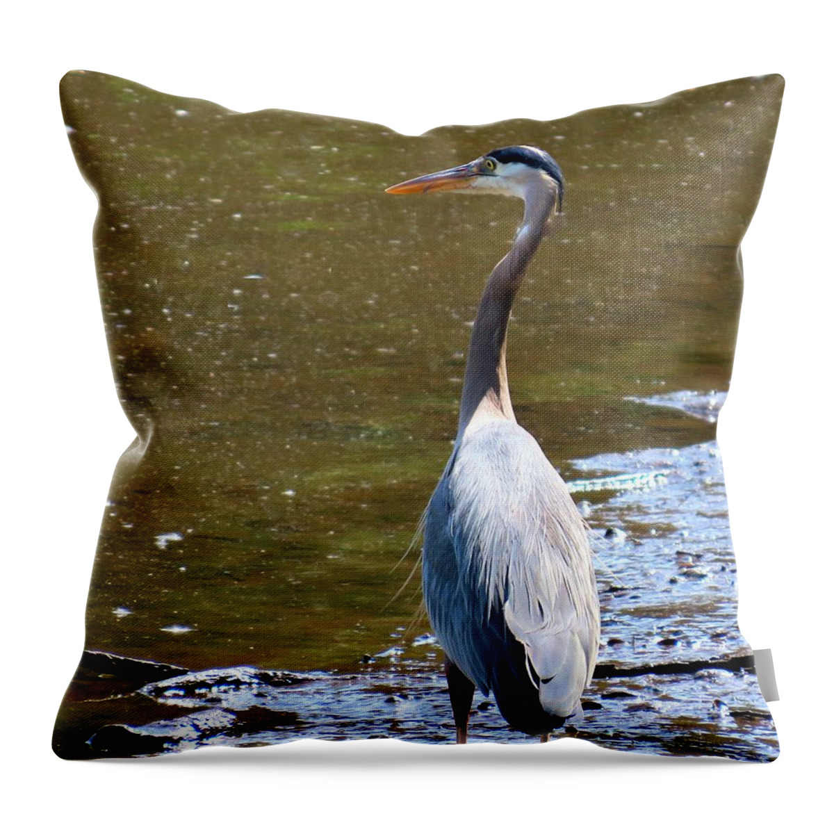 Birds Throw Pillow featuring the photograph Great Blue Heron at Amico Island, New Jersey by Linda Stern