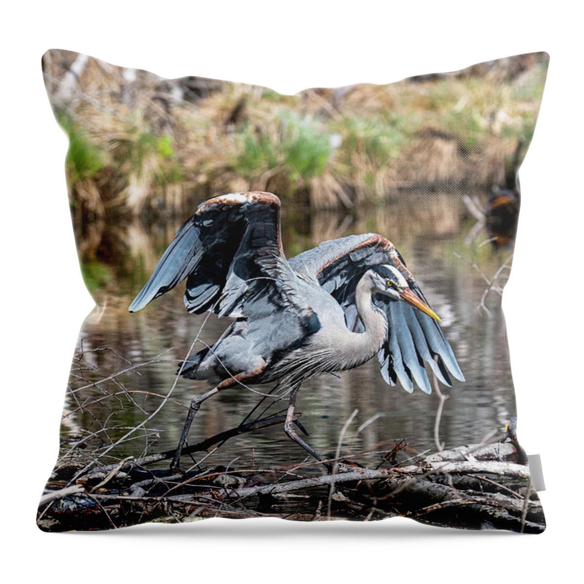 Afternoon Throw Pillow featuring the photograph Great Blue Heron at the Needham Reservoir by Ilene Hoffman