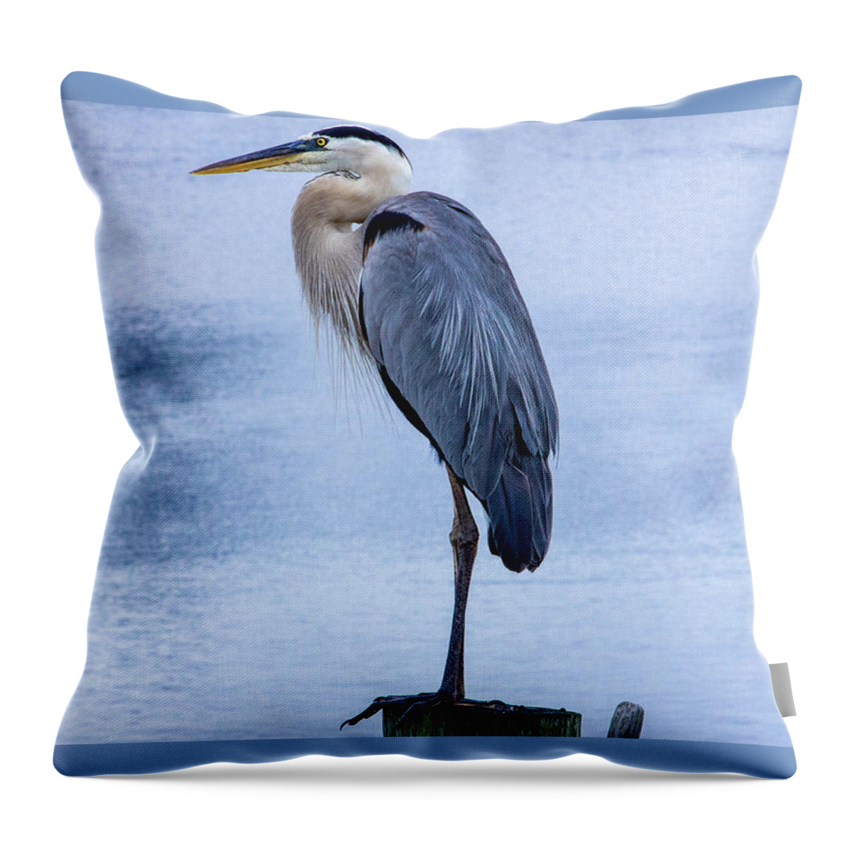 Great Blue Heron Throw Pillow featuring the photograph Great Blue Heron by Blair Damson