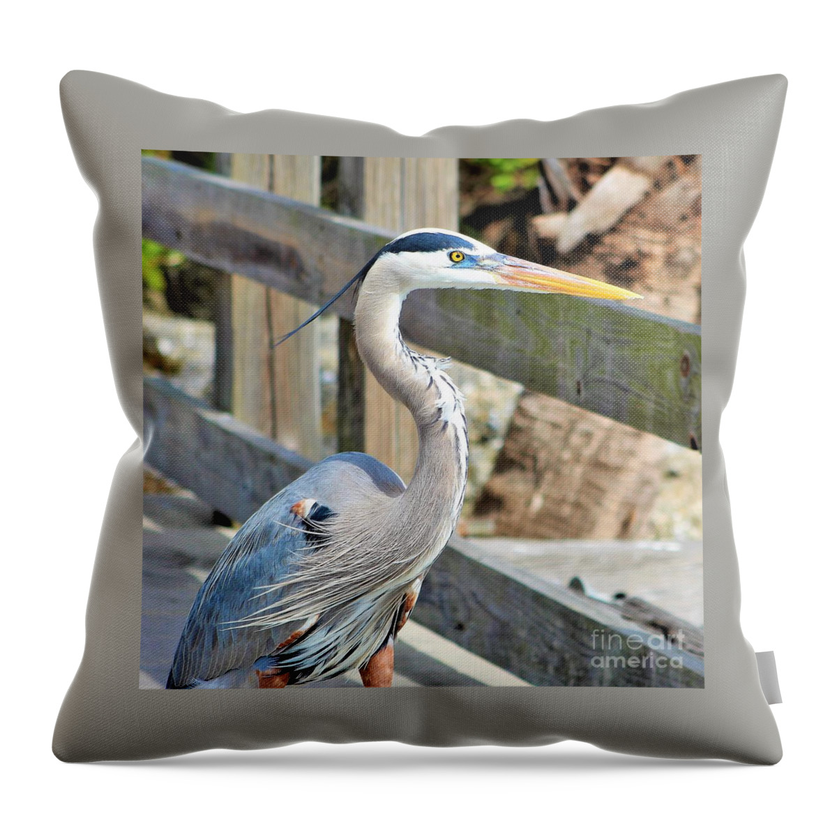 Heron Throw Pillow featuring the photograph Great Blue Heron down at the pier looking out yonder by Joanne Carey
