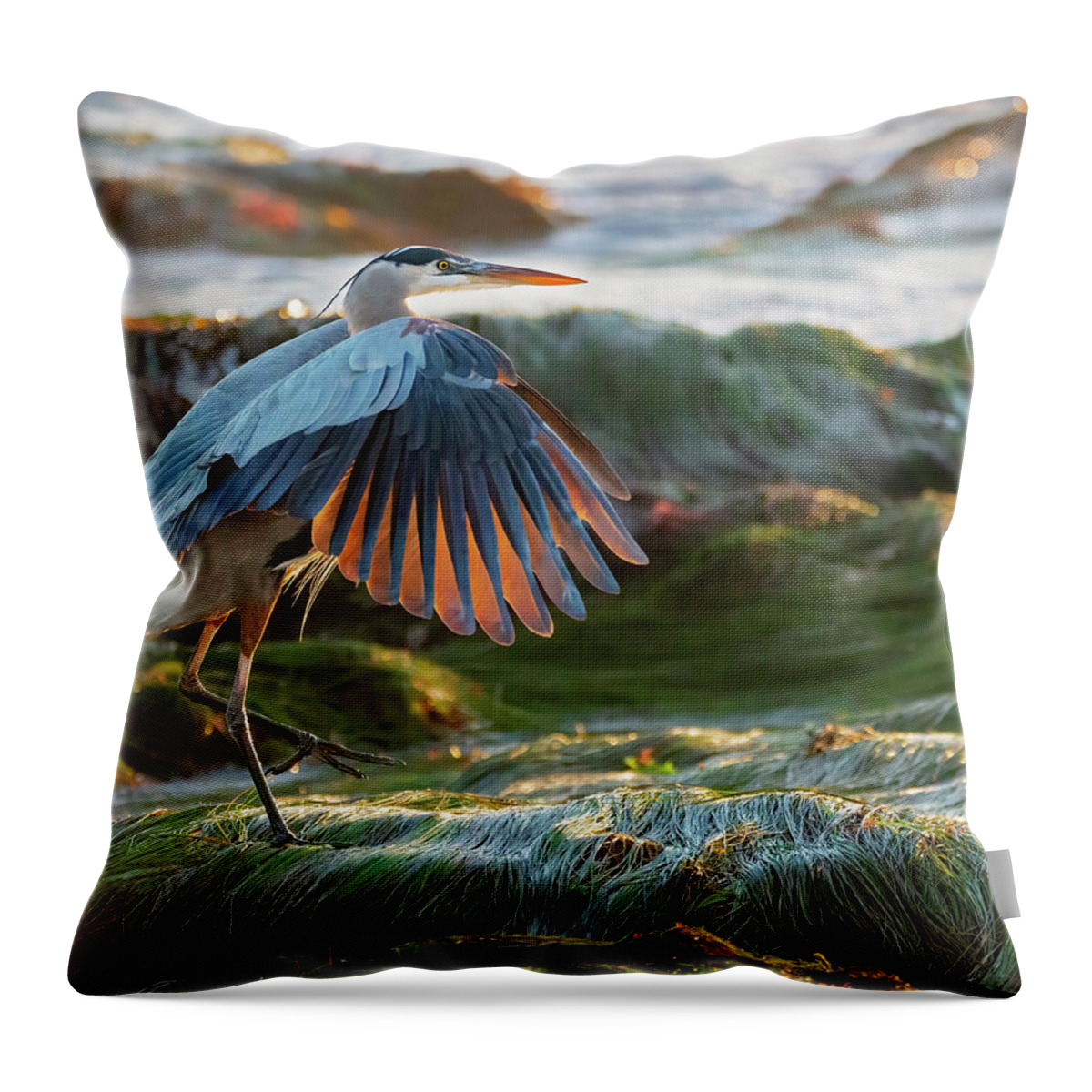 Bird Throw Pillow featuring the photograph Great Blue Heron in Eelgrass by Susan Cook by California Coastal Commission