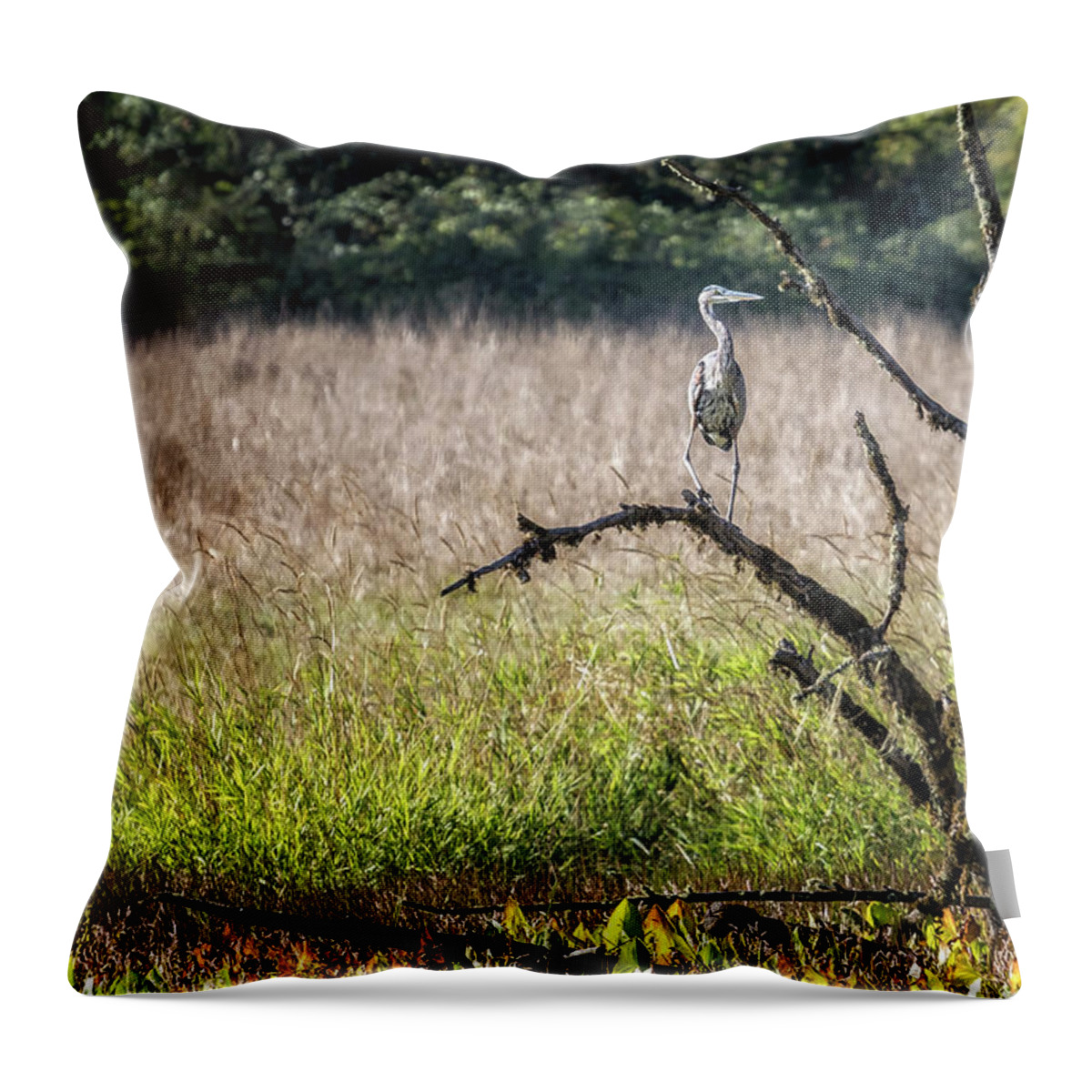 Great Blue Heron Throw Pillow featuring the photograph Great Blue Heron on a Snag by Belinda Greb