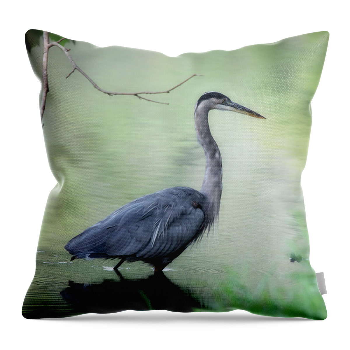 Great Throw Pillow featuring the photograph Great Blue Heron by Scott Burd