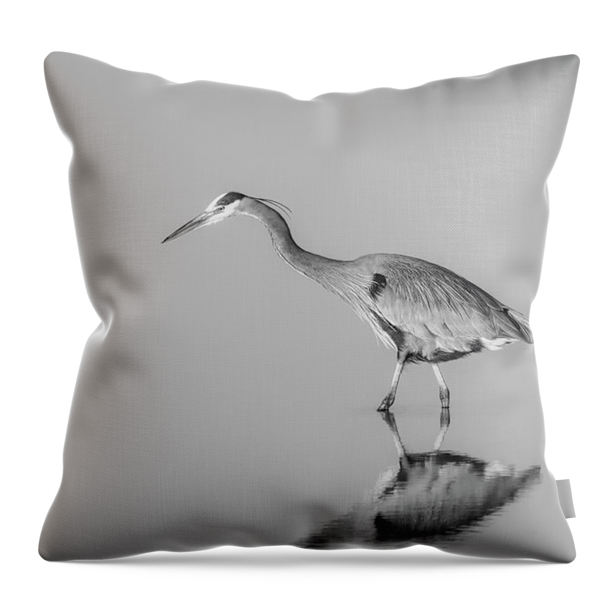 Great Blue Avian Throw Pillow featuring the photograph Great Blue Herons BW by Susan Candelario