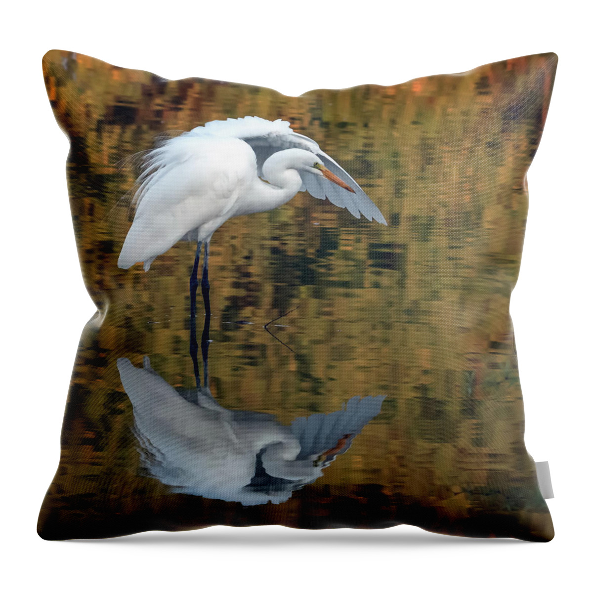 Great Egret Throw Pillow featuring the photograph Great Egret 4968-101920-2 by Tam Ryan