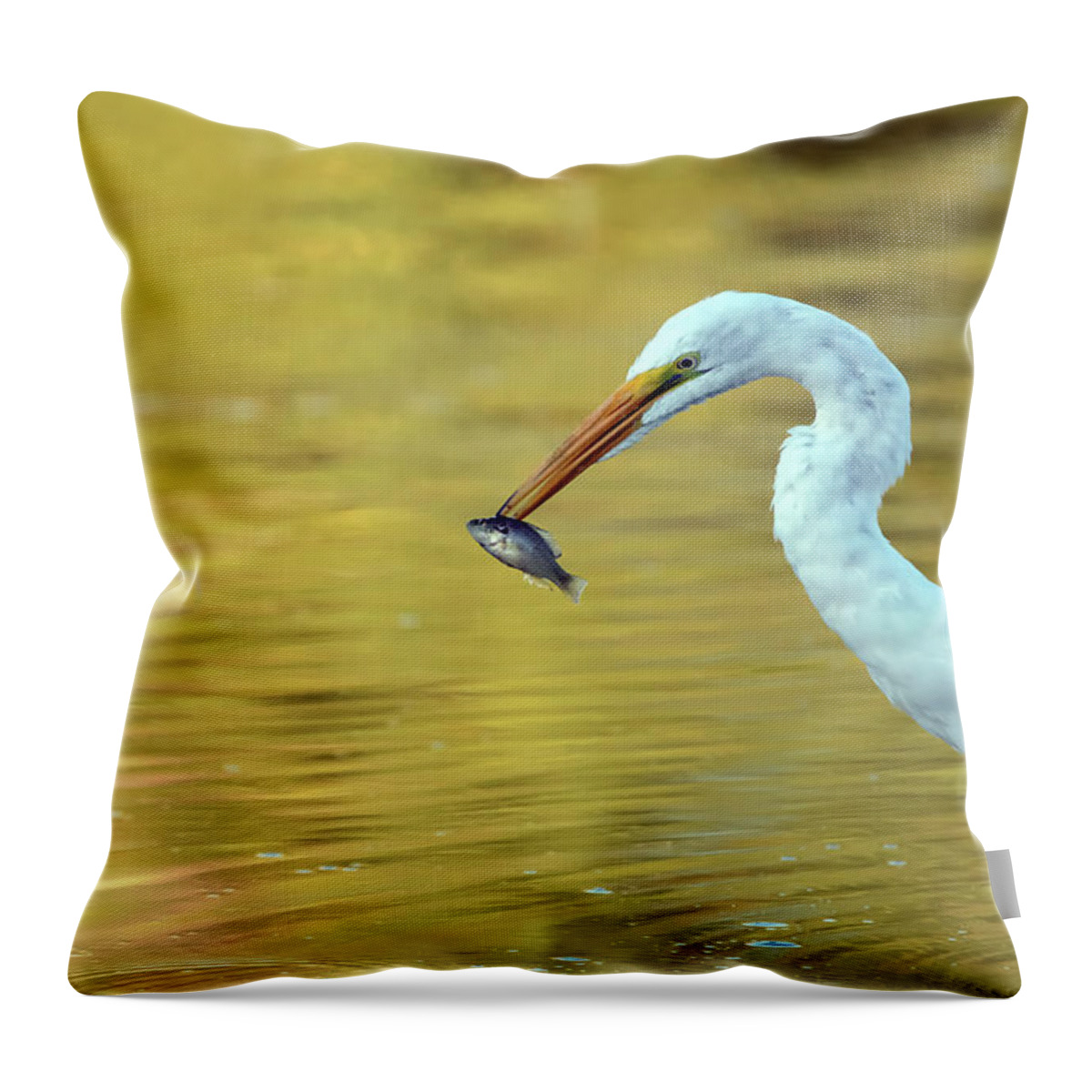 Great Egret Throw Pillow featuring the photograph Great Egret 7175-080720 by Tam Ryan